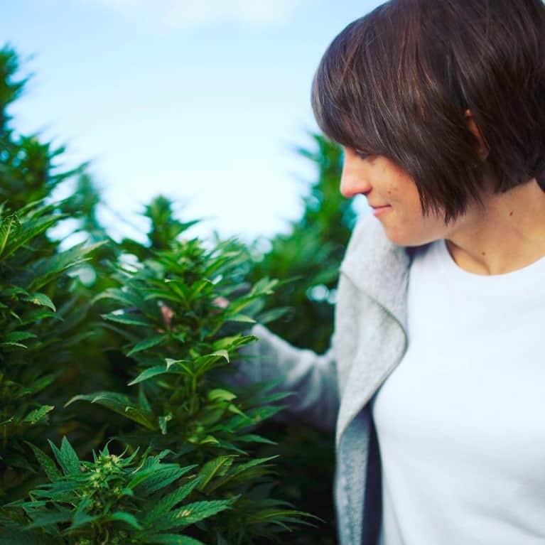 CBD Oil Anxiety 
      Sleep Dale 
      IL